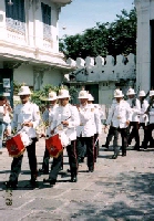 ���b�g�v���P�I�q���̍s�i