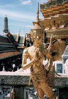 ���l���b�̑�