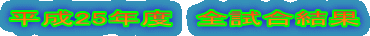 平成25年度　全試合結果