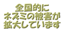 �S���I�� �l�Y�~�̔�Q�� �g�債�Ă��܂�