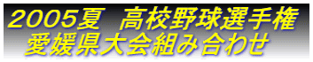 QOOTā@Z싅I茠 @Qgݍ킹