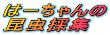 はーちゃんの
昆虫採集