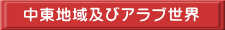 中東地域及びアラブ世界