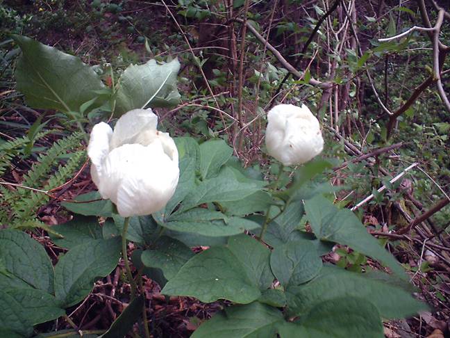 04