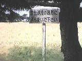 �ʐ^