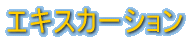 �G�N�X�J�[�V����