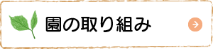 園での取り組み