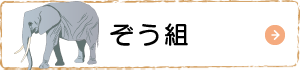 ぞう組