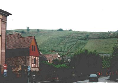 Riquewihri