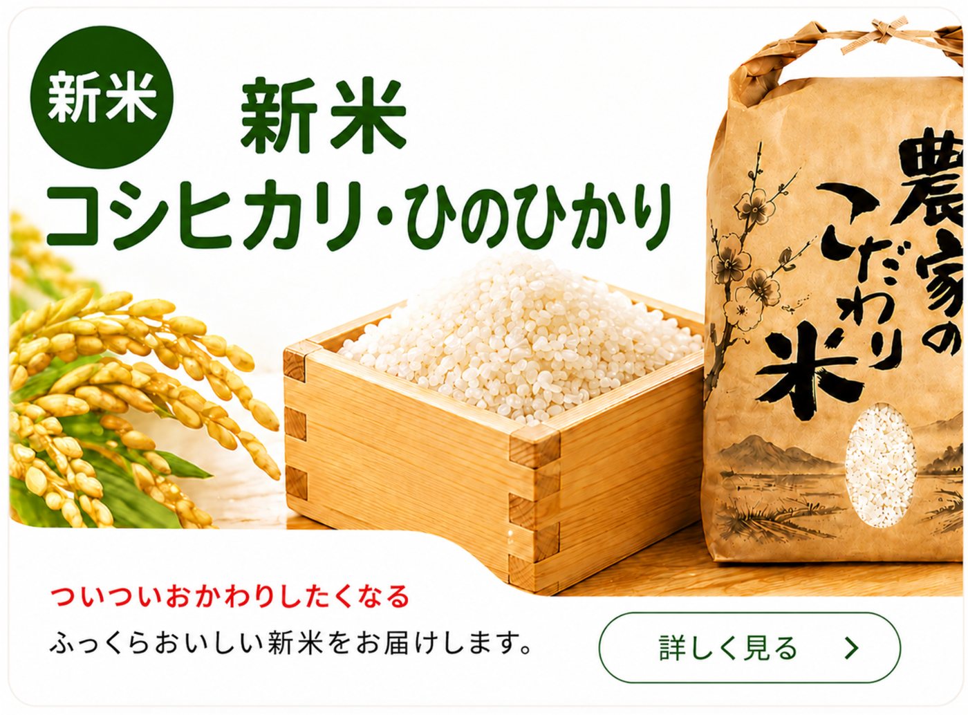 新米コシヒカリ