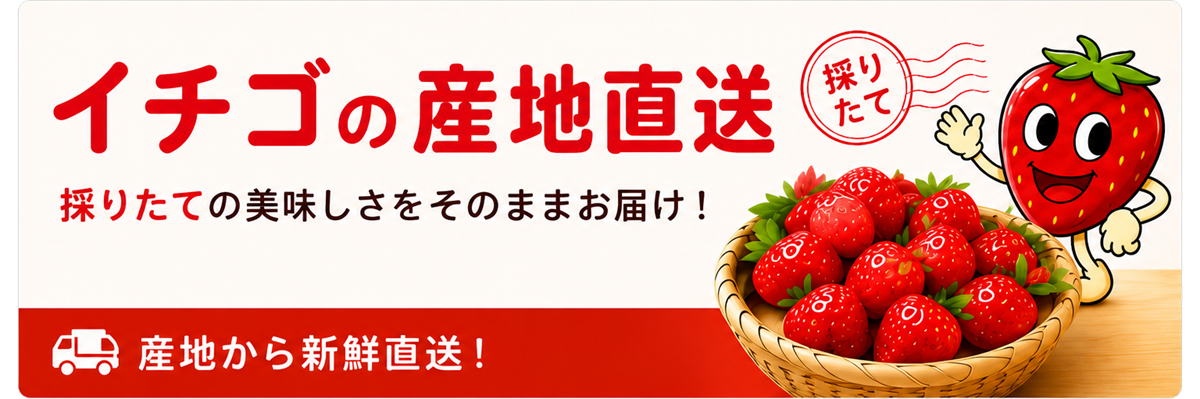 イチゴの産地直送