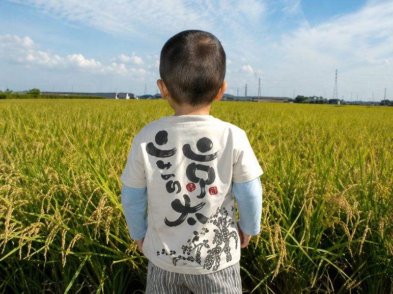 お米の風景6