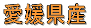 愛媛県産